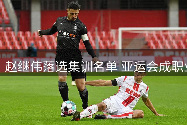 赵继伟落选集训名单 亚运会成职业生涯遗憾